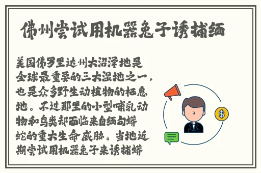 差差差差30分钟无掩饰